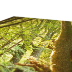 Deep Forest Aura