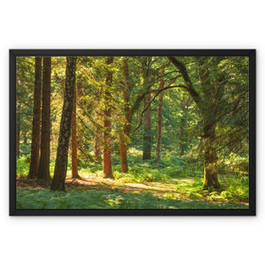 Sunlit Forest