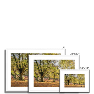 Golden autumn sunlight