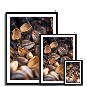 Sun Flower seeds shells 2