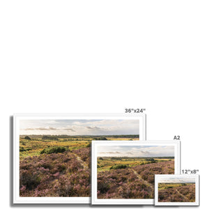 Holm Hill Heather