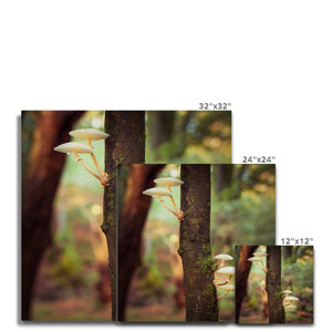Mushroom tree