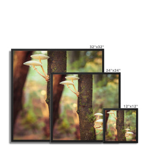 Mushroom tree