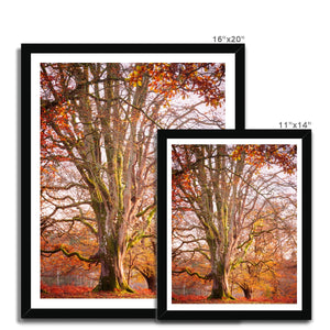 Autumn tree
