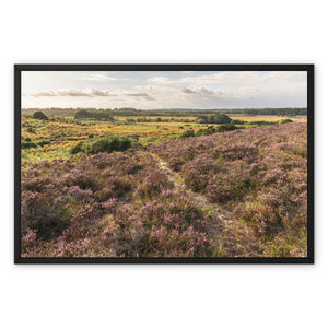Holm Hill Heather