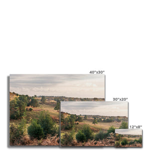 Autumn forest landscape