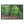 Deep forest landscape