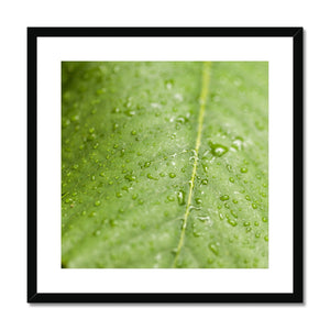 Leaf droplets