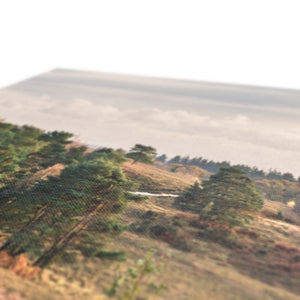 Autumn forest landscape