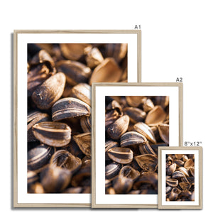 Sun Flower seeds shells