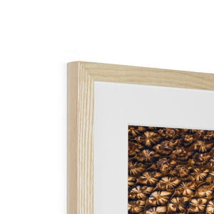 Sun Flower seed pattern