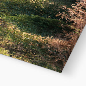 Autumn forest landscape