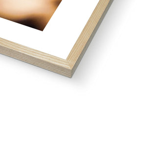 Sun Flower seeds shells 2