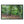 Deep forest landscape