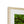 Emerald canopy forest scene