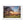 Sunset forest landscape