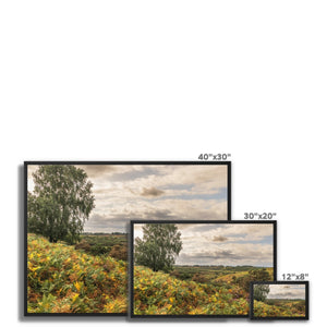 Seasons valley