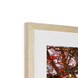 Autumn tree