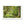 Green forest landscape