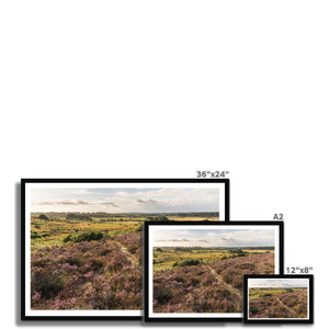 Holm Hill Heather
