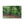 Deep forest landscape