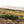 Holm Hill Heather