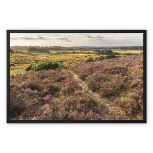 Holm Hill Heather