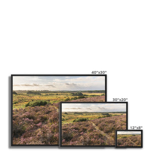 Holm Hill Heather
