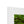 Emerald canopy forest scene