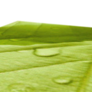 Leaf droplets 5
