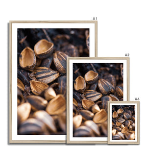 Sun Flower seeds shells 2