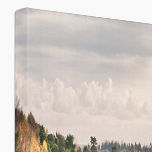 Autumn forest landscape