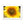 Sun Flower 2