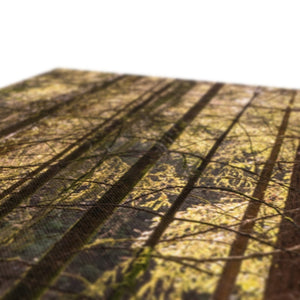 Casting shadows