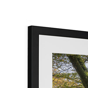 Golden autumn sunlight