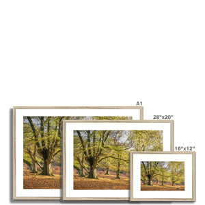 Golden autumn sunlight