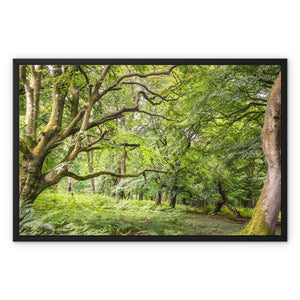 Green forest landscape