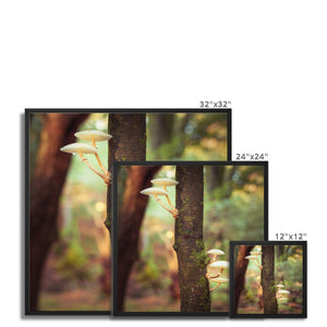 Mushroom tree