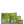 Emerald canopy forest scene