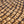 Sun Flower seed pattern
