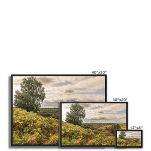 Seasons valley
