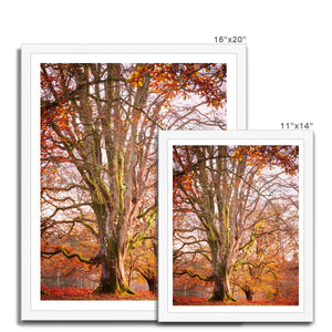 Autumn tree
