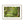 Green forest landscape