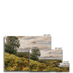 Seasons valley