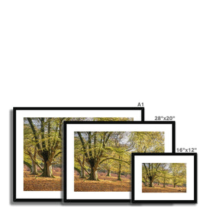 Golden autumn sunlight