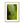 Leaf droplets 3