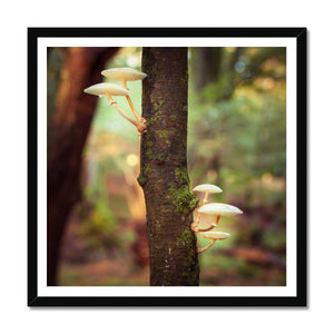 Mushroom tree