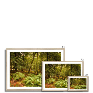 Fern view