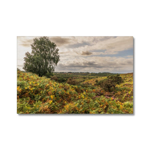 Seasons valley