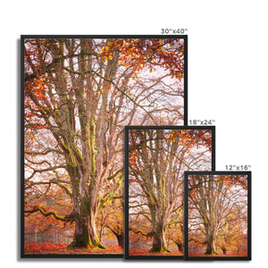 Autumn tree